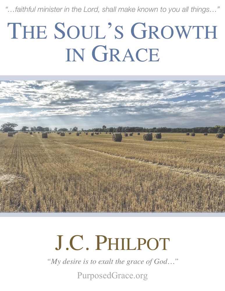 The Souls Growth in Grace cover