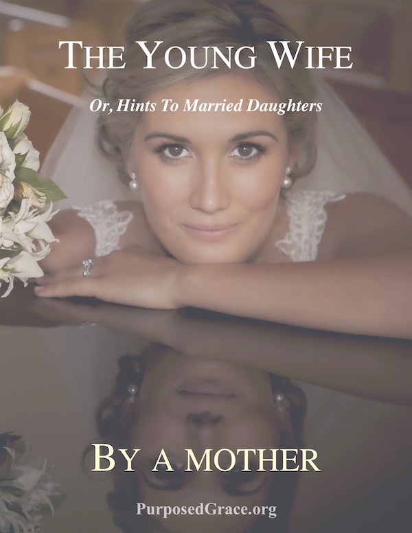 The Young Wife cover